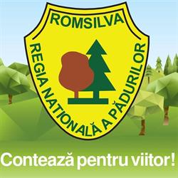 Regia Nationala a Padurilor - Romsilva Ocolul Silvic Sovata