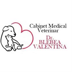 Blebea Valentina, Cabinet Medical Veterinar Si Pensiune Canina, Călăraşi