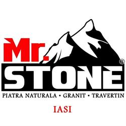 Mr. Stone Iasi