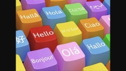 Romtranslate SRL, Drăgăşani
