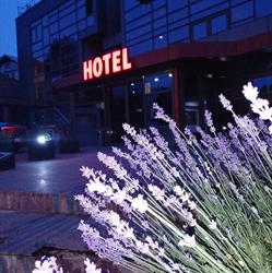 Blue-Night 2003 SRL, Piteşti