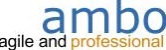 Ambo Software, Cluj-Napoca