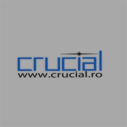 Crucial Systems & Services, Constanţa