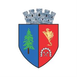 Primaria Municipiului Brad