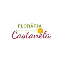 CASTANELA SRL, Rădăuţi