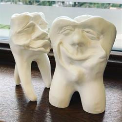 DENTISTICA SRL, Timişoara