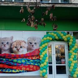 Animax - Bucureşti