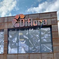 Diflora, Baia Mare