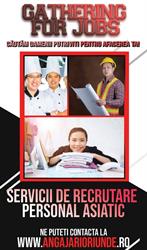 Gathering For Jobs, Tulcea