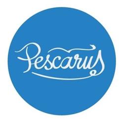 Pescăruş, Bucureşti