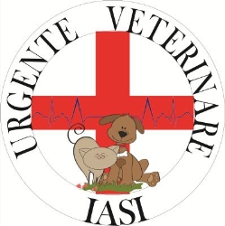 Urgente Veterinare Iasi