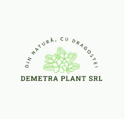 DEMETRA PLANT SRL, Frasin