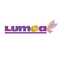Lumea Basmelor International, Târgu Mureş
