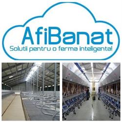 Afibanat Srl, Săcălaz