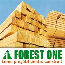 Forest One, Moşniţa Nouă