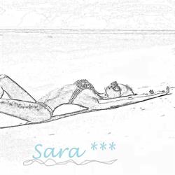 Pensiunea Sara Vama Veche