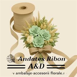 ANDATEX RIBON SRL, Chişineu-Criş