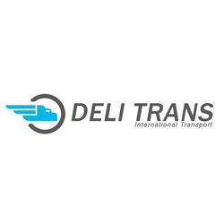 Deli Trans, Suceava