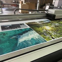 Charlie Media Factory, Timişoara