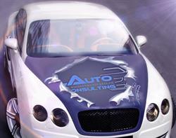 Auto Consulting, Cluj-Napoca
