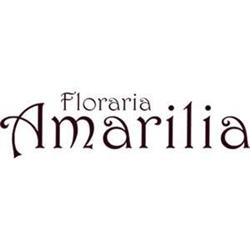 Floraria Amarilia, Galaţi