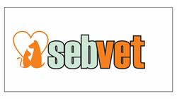 SebVet, Focşani