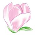 Cabinet Dermatologie Brasov Dr. Negulici-Cristea Violeta