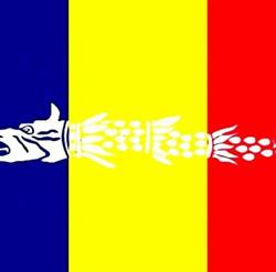 Cabinet Avocat Niţă Cătălin si Niţă Ana-Maria, Constanţa