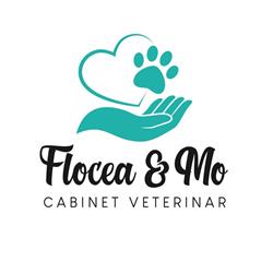 Flocea & Mo, Cluj-Napoca