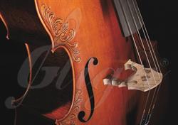 Gliga Instrumente Muzicale SA, Reghin