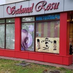 SALONUL ROSU, Bacău