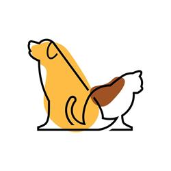 Medivet Buftea - Cabinet Veterinar