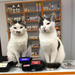 LOUISE VET Farmacie Veterinara, Iaşi