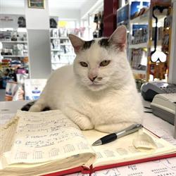 Cabinet veterinar Dr. Susa Ioan, Satu Mare
