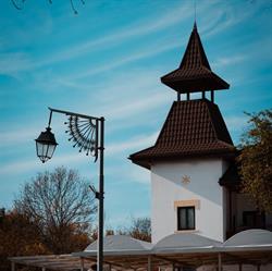 Conacul Trandafirilor, Buzău