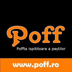 POFF, Satu Mare