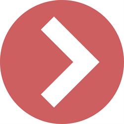 Vector Consulting, Timişoara
