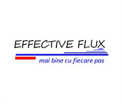 Effective Flux SRL, Arad