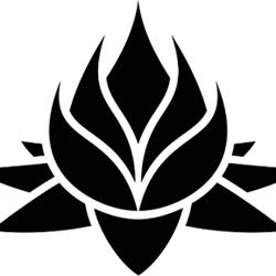 SC Black Lotus Concept SRL, Bucureşti
