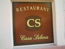 Casa Selena, Dej