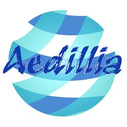S.C. Aedillia Construct 90 S.R.L., Bucureşti