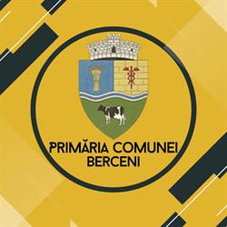 Primăria Berceni