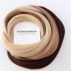 Extenssionista, Timişoara