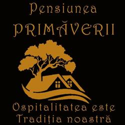 Pensiunea Primaverii, Viile Satu Mare