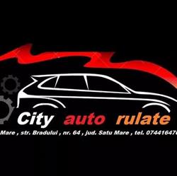 City auto rulate, Satu Mare