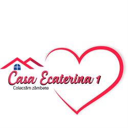 Casa Ecaterina1, Timişoara