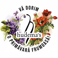 Hudema's S.r.l, Timişoara