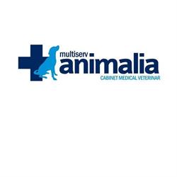 Multiserv Animalia, Floreşti