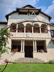 Aronson Villa, Băile Tuşnad