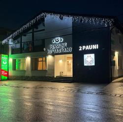 Pensiune 2 Pauni, Borşa